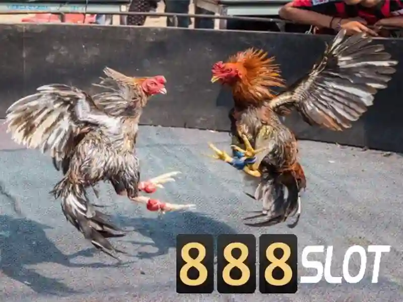 💎wow 888slot casino💎