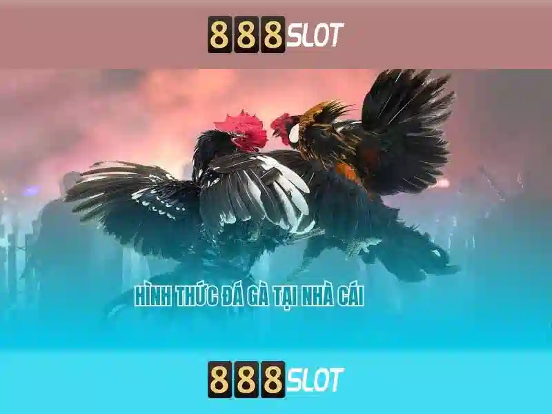  khuyến mãi slot - 888slot