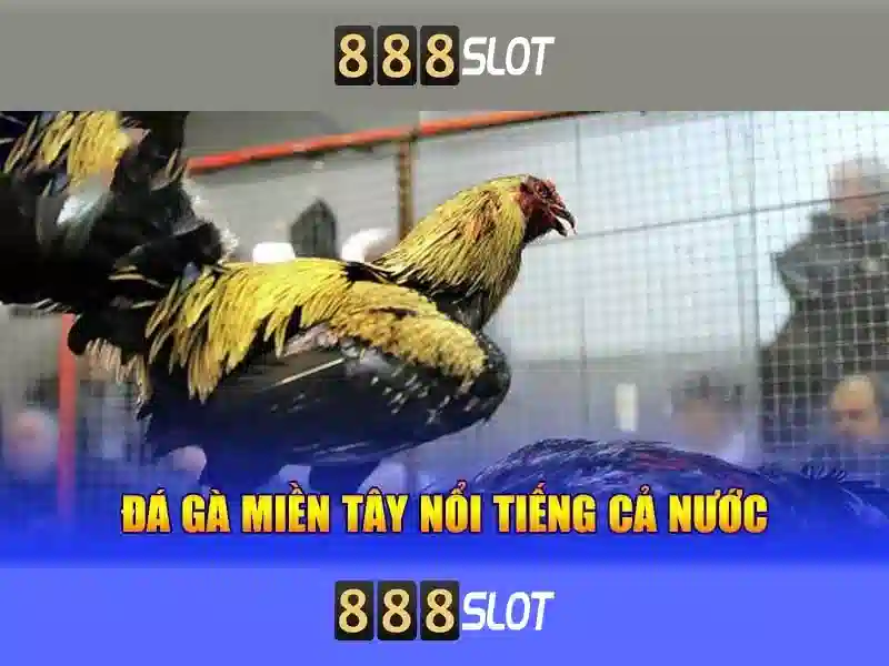 💎fb88 cá cược💎