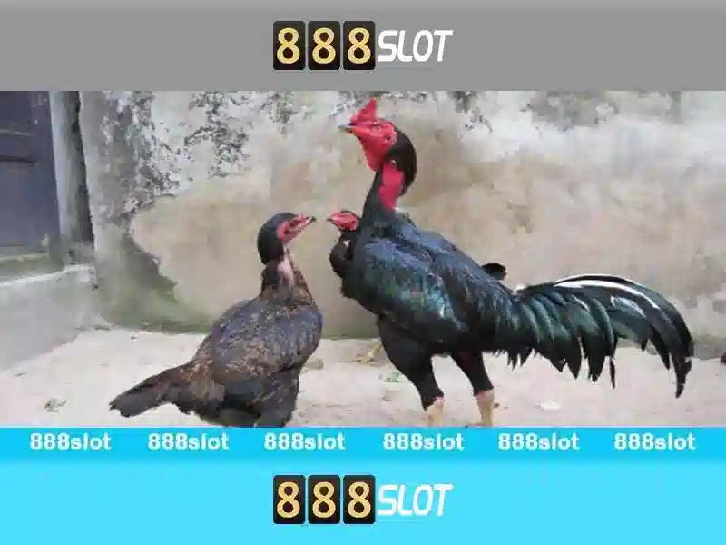 💎xrp 77 slot login💎