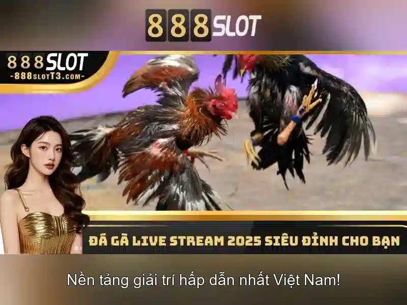 💎đá gà 888slot💎