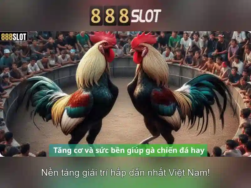 💎v9bet tỷ lệ kèo nhà cái💎