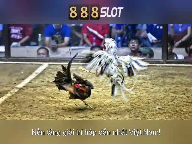 💎nha cai ole777💎