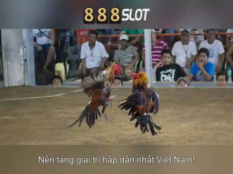 💎xn88 uy tin so 1💎